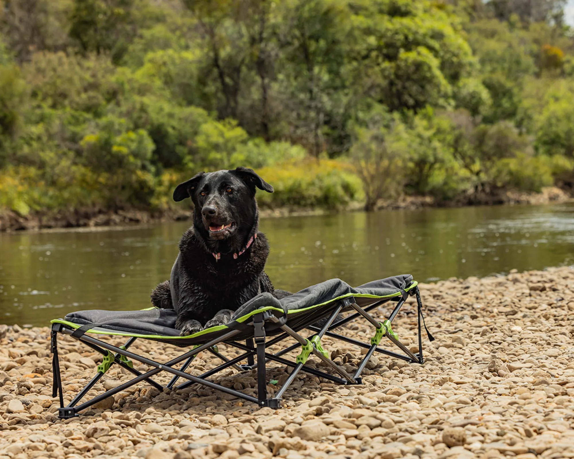 Quick Fold Dog Bed with Padded Mat (XL) - Image 3